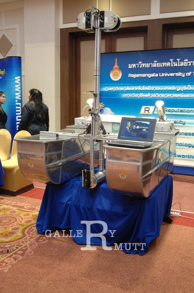 20160215-SMEs-turn around_20.JPG